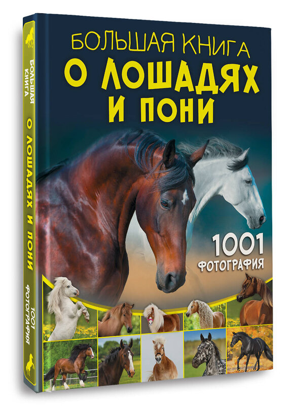 АСТ Спектор А.А. "Большая книга о лошадях и пони. 1001 фотография" 475746 978-5-17-166639-2 