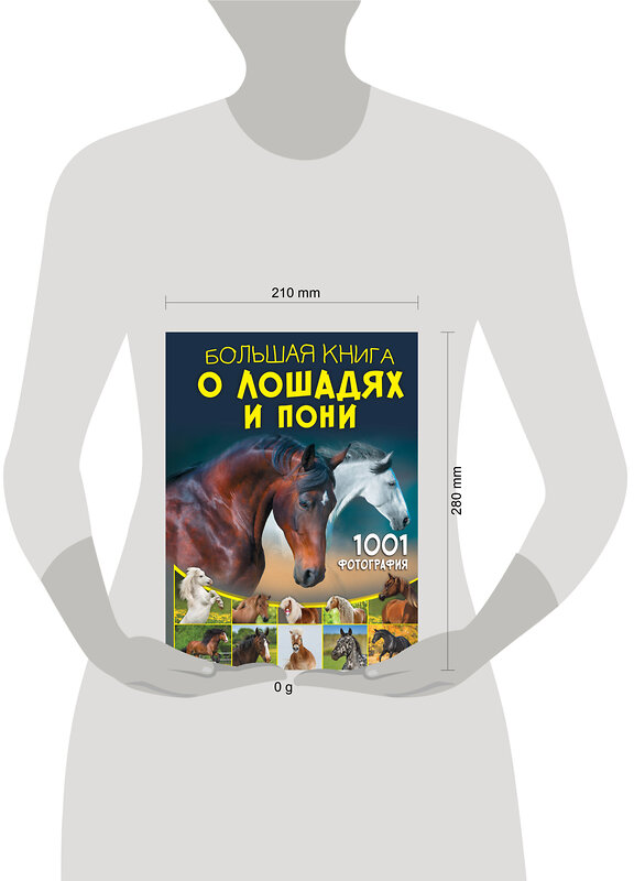 АСТ Спектор А.А. "Большая книга о лошадях и пони. 1001 фотография" 475746 978-5-17-166639-2 