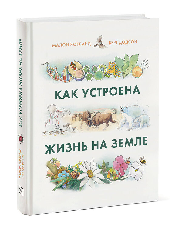 Эксмо Малон Хогланд, Берт Додсон "Как устроена жизнь на Земле" 479694 978-5-00146-937-7 