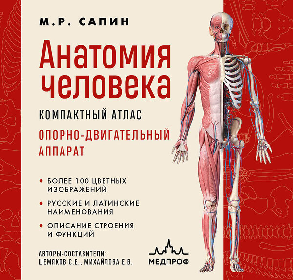 Эксмо М. Р. Сапин "Анатомия человека. Компактный атлас. Опорно-двигательный аппарат" 485443 978-5-04-184811-8 