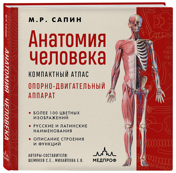 Эксмо М. Р. Сапин "Анатомия человека. Компактный атлас. Опорно-двигательный аппарат" 485443 978-5-04-184811-8 