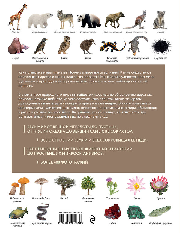 Эксмо Регина Михайлова "Атлас Земли. Животные, растения, грибы, бактерии, минералы и другие сокровища нашей планеты" 485494 978-5-04-196861-8 