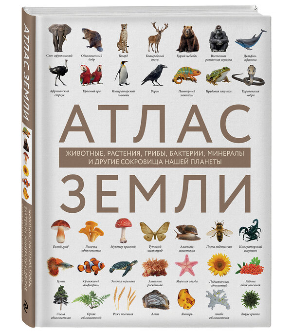 Эксмо Регина Михайлова "Атлас Земли. Животные, растения, грибы, бактерии, минералы и другие сокровища нашей планеты" 485494 978-5-04-196861-8 