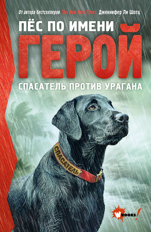 АСТ Шотц Дженнифер Ли "Пёс по имени Герой. Спасатель против урагана" 486042 978-5-17-135707-8 