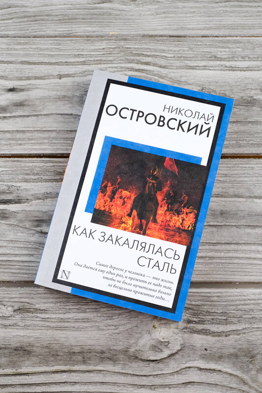 АСТ Николай Алексеевич Островский "Как закалялась сталь" 493632 978-5-17-171257-0 