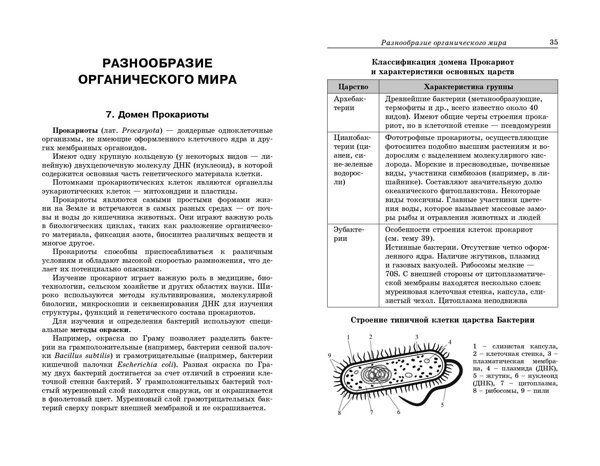 Эксмо Н. Е. Баштанник "Биология: наглядно и доступно" 498203 978-5-04-214627-5 