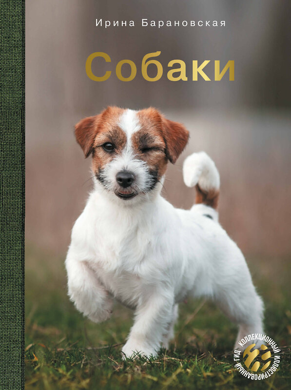 АСТ Барановская И.Г., Вайткене Л.Д., Хомич Е.О. "Собаки" 500292 978-5-17-168252-1 