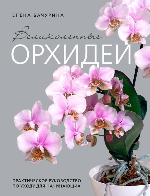 Эксмо Елена Бачурина "Великолепные орхидеи. Практичное руководство по уходу для начинающих" 504727 978-5-04-199445-7 