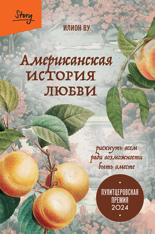 Эксмо Илион Ву "Американская история любви. Рискнуть всем ради возможности быть вместе" 509784 978-5-04-208276-4 