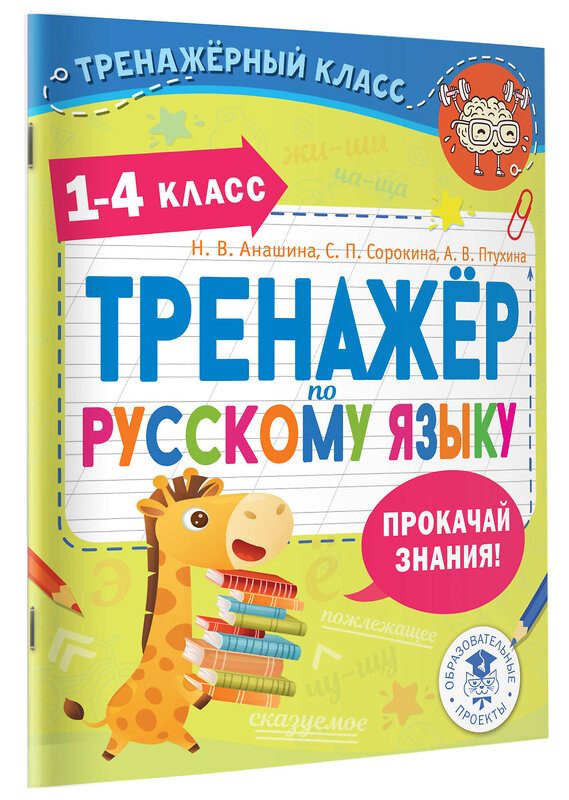 АСТ Анашина Н.В., Птухина А.В., Сорокина С.П. "Тренажер по русскому языку. 1-4 классы" 510120 978-5-17-173162-5 