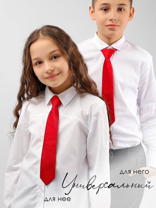 Соль&Перец Галстук 548447 SP306A красный