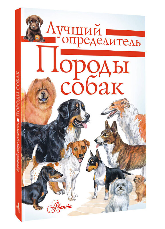 АСТ Михальская А.К. "Породы собак. Определитель" 549599 978-5-17-157854-1 