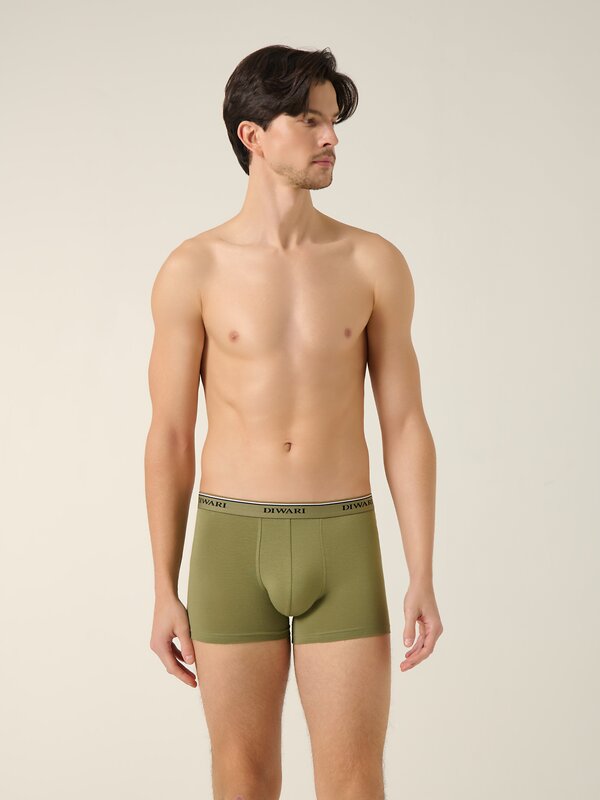 DiWaRi Трусы 556965 PREMIUM MSH 1568 (бандероль) khaki-khaki strip