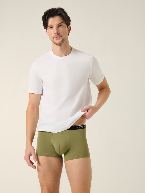 DiWaRi Трусы 556967 PREMIUM MSH 1568 (бандероль) khaki-black strip
