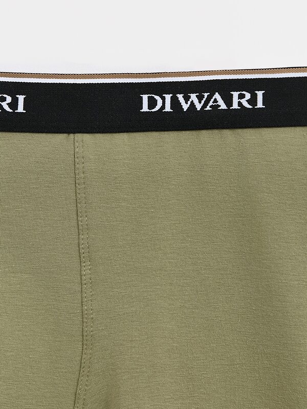 DiWaRi Трусы 556967 PREMIUM MSH 1568 (бандероль) khaki-black strip