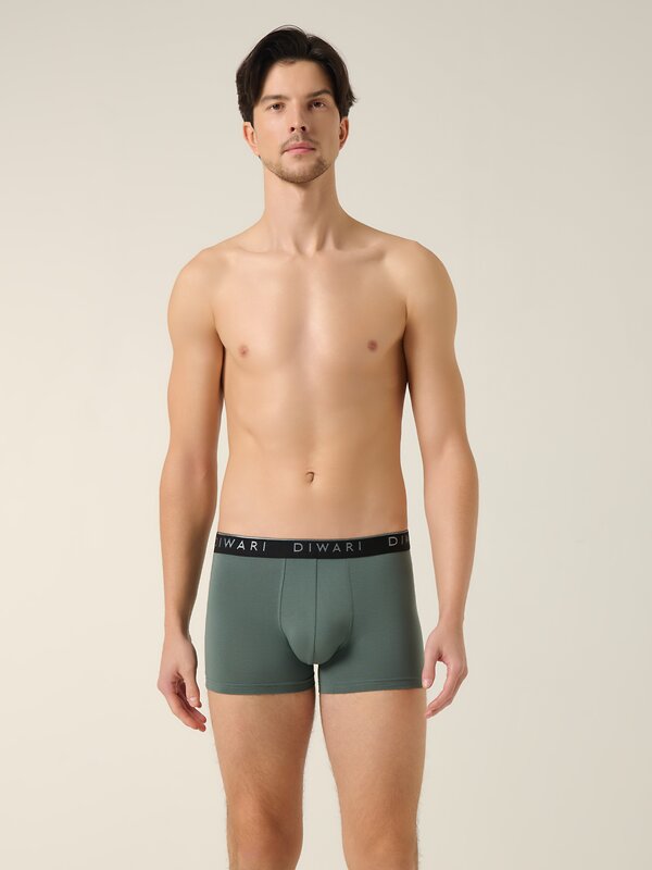 DiWaRi Трусы 556969 PREMIUM MSH 1568 (бандероль) stormy green-silver black