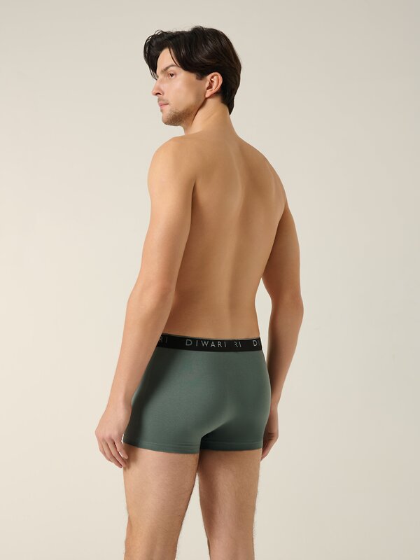 DiWaRi Трусы 556969 PREMIUM MSH 1568 (бандероль) stormy green-silver black