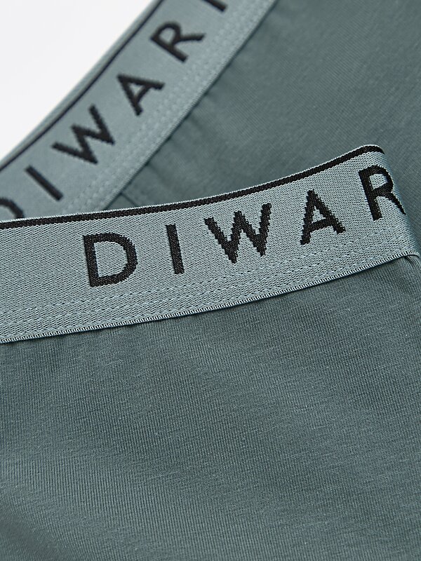 DiWaRi Трусы 556970 PREMIUM MSH 1568 (бандероль) stormy green-silver blue