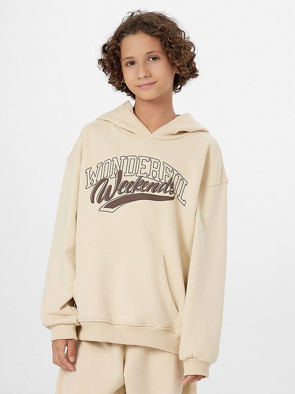 MARK FORMELLE Худи 559238 123445 туман +печать