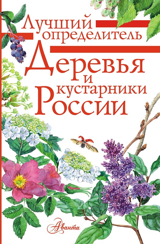 АСТ Пескова И.М. "Деревья и кустарники России. Определитель" 562635 978-5-17-106228-6 
