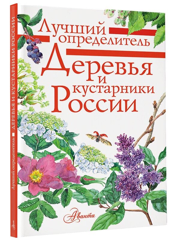 АСТ Пескова И.М. "Деревья и кустарники России. Определитель" 562635 978-5-17-106228-6 