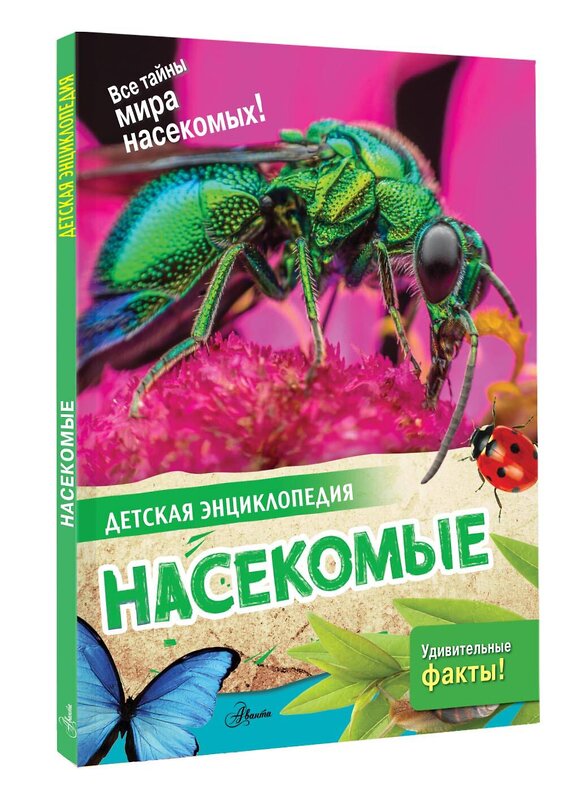 АСТ Петров П.Н. "Насекомые" 562653 978-5-17-163366-0 