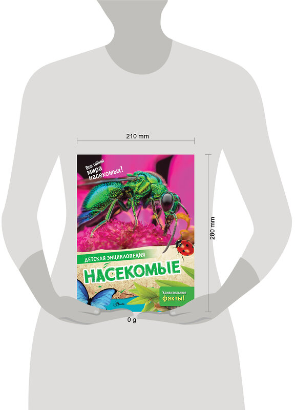 АСТ Петров П.Н. "Насекомые" 562653 978-5-17-163366-0 