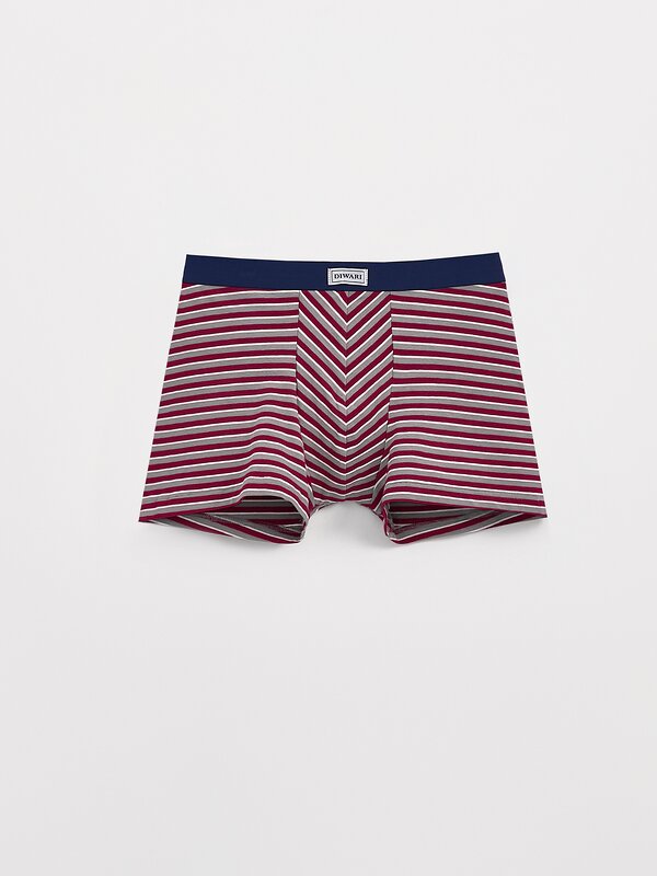 DiWaRi Трусы 565919 BASIC MSH 2956 (пакет) bordo-grey strip
