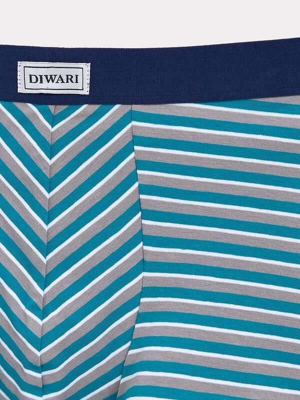 DiWaRi Трусы 565920 BASIC MSH 2956 (пакет) sea green strip