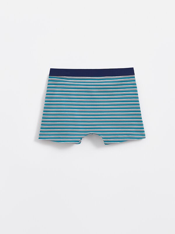 DiWaRi Трусы 565920 BASIC MSH 2956 (пакет) sea green strip