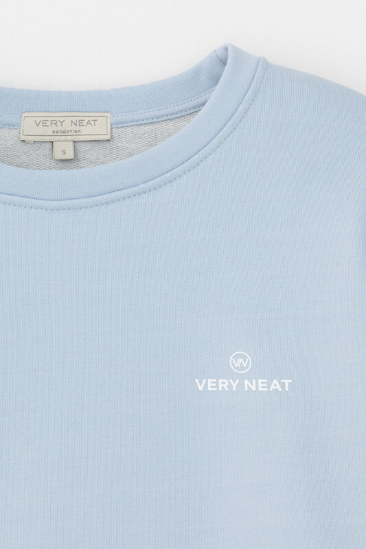 VERY NEAT Свитшот 568613 ЕВТ 3221 голубой