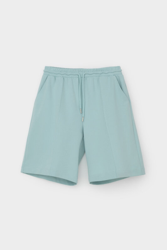 VERY NEAT Шорты 568678 ЕВТ 4128 минт