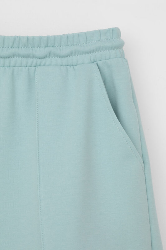 VERY NEAT Шорты 568678 ЕВТ 4128 минт