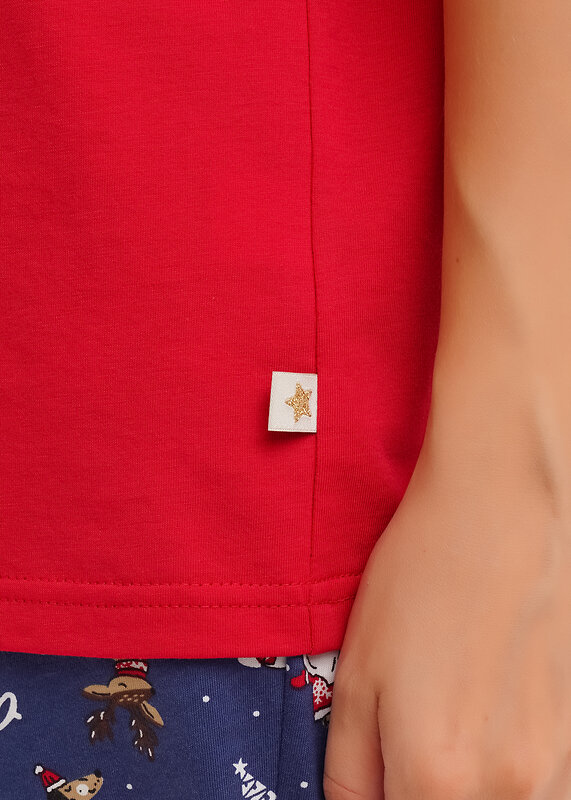 CLEVER Набор 569374 LP15-1202/3 красный/т.синий