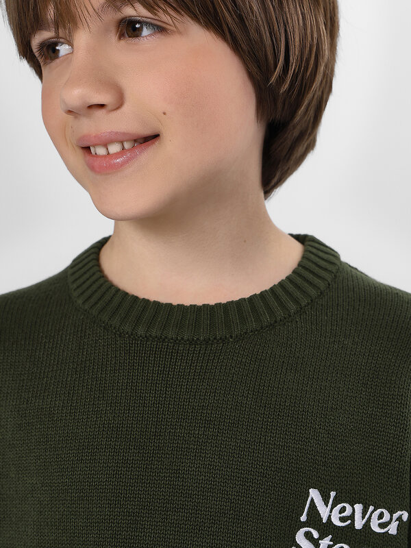 MARK FORMELLE Джемпер 570571 123483 зеленый