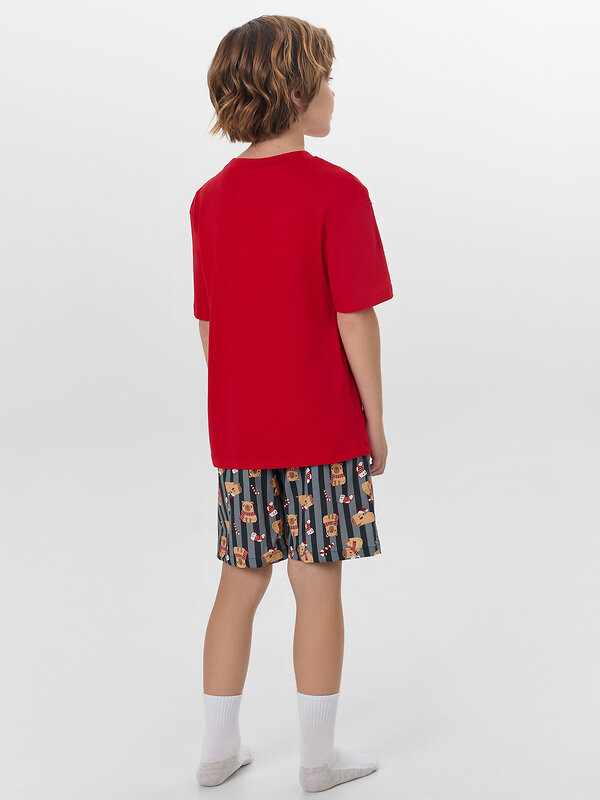 MARK FORMELLE Комплект 570769 563329 спелая вишня +капибары на графитовой полоске