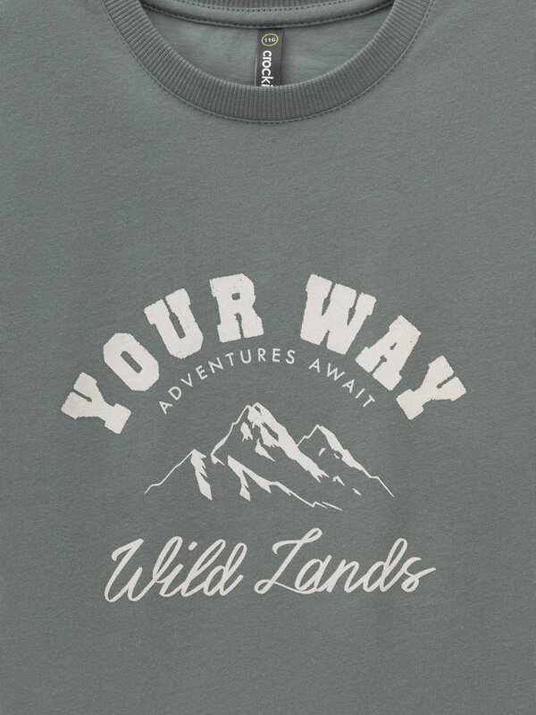 CROCKID Футболка 571161 КР 302778 зеленый