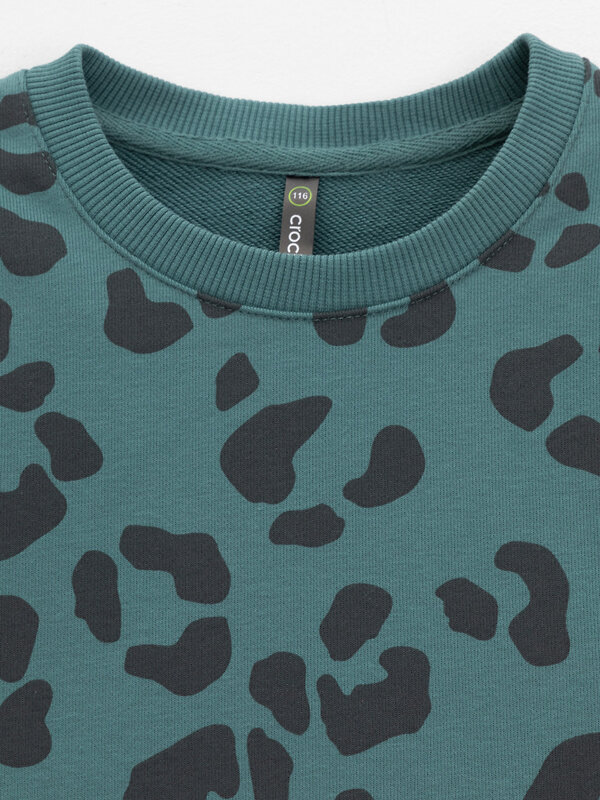 CROCKID Свитшот 571300 КР 302905 зеленый