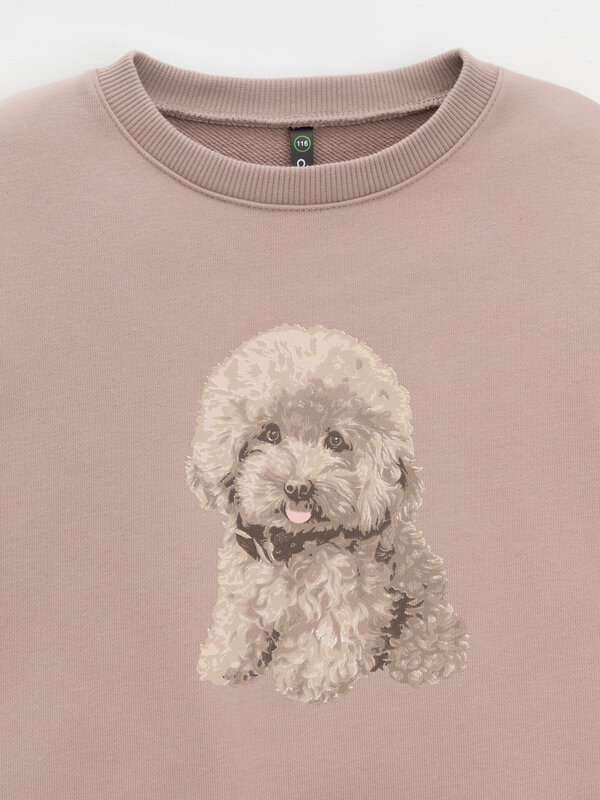 CROCKID Свитшот 571331 КР 302816 кофейный