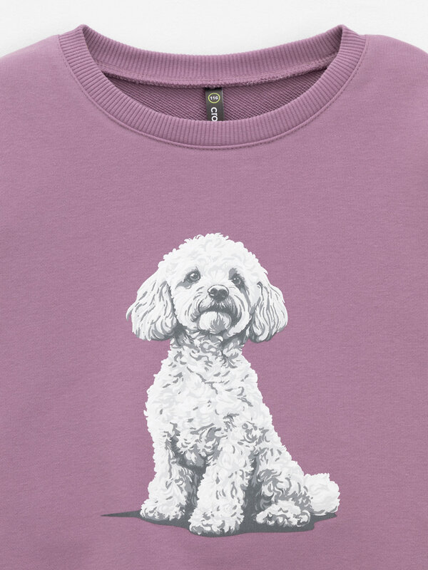 CROCKID Свитшот 571417 КР 302883 фиолетовый