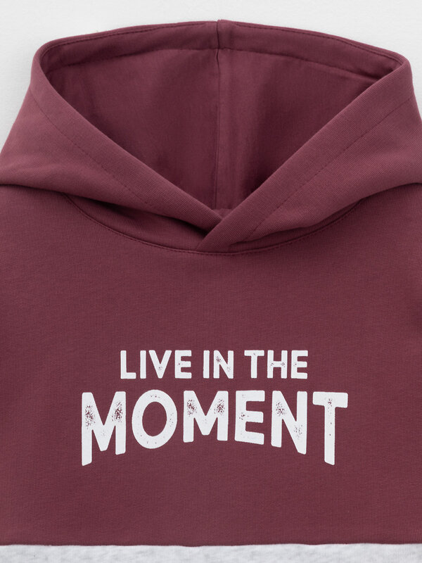 CROCKID Худи 571584 КР 302214 коричневый