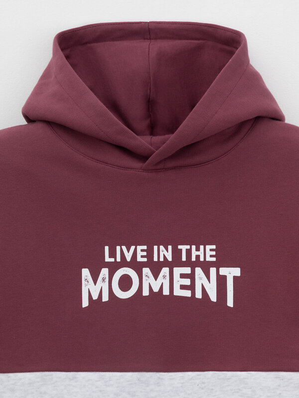 CROCKID Худи 571586 КР 302214 коричневый