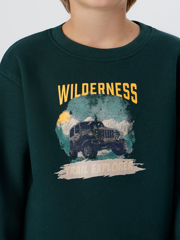 MARK FORMELLE Свитшот 571689 123431/1 пихта +печать