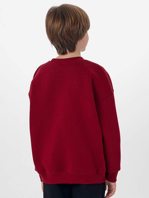 MARK FORMELLE Свитшот 571692 123437/1 т.бордовый +печать