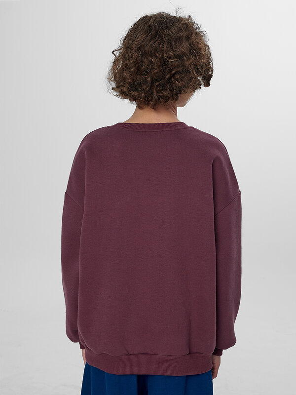 MARK FORMELLE Свитшот 571693 123466 ежевичный +печать