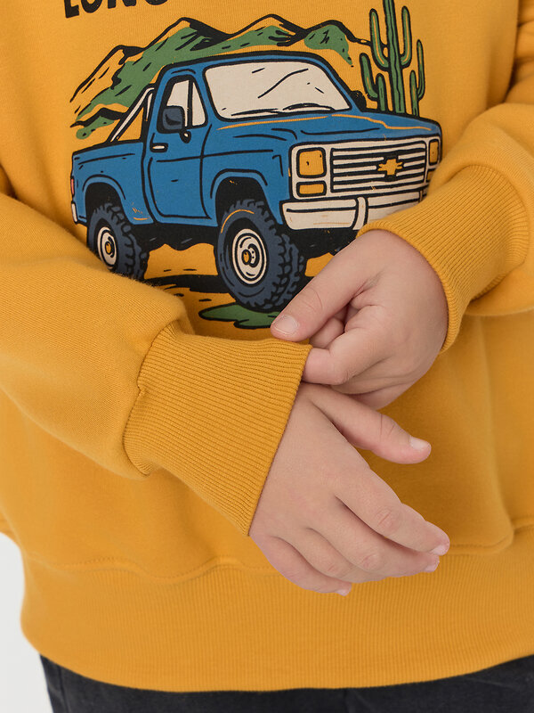 MARK FORMELLE Свитшот 571695 123487 охра +печать