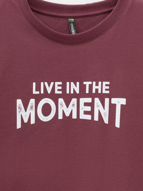 CROCKID Футболка 571758 КР 302913 коричневый