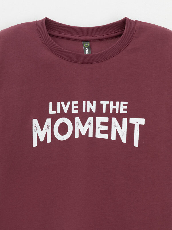 CROCKID Футболка 571770 КР 302913 коричневый