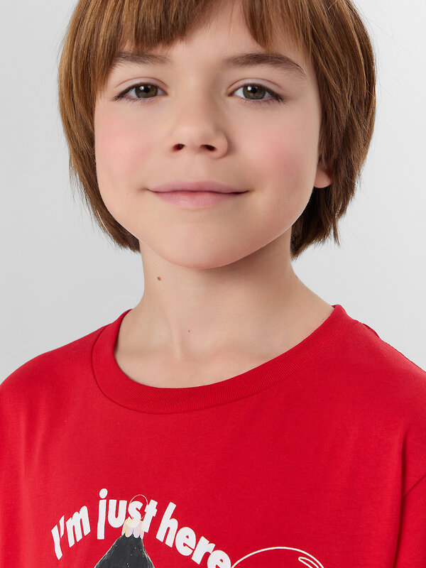 MARK FORMELLE Футболка 572395 113433 бордо +печать2