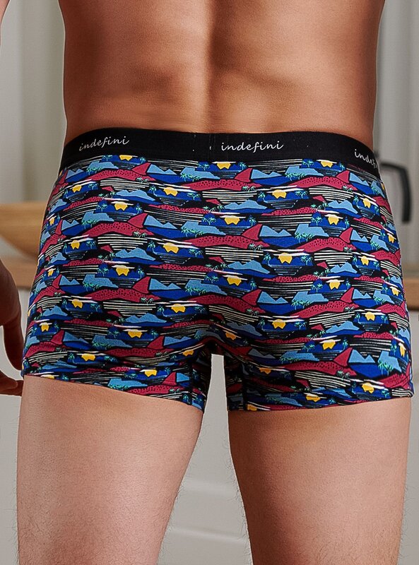 INDEFINI Трусы 572570 3008MUF Мультиколор